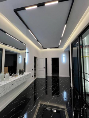 Hi-Tech Apartment